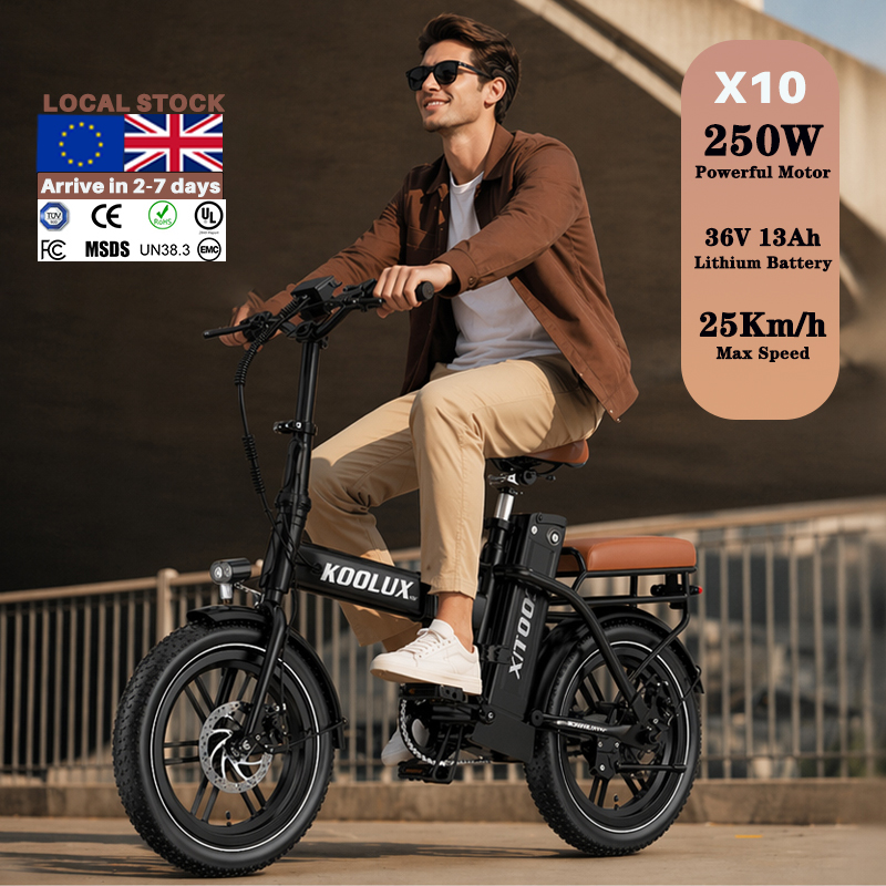 Europe Poland X10 Electric Fol - Mountain Biking Europe review and price