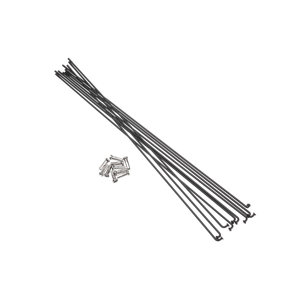 10Sets 14g Bicycle Stainless S - Spoke Nipple Brass review and price